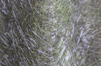 Camden Hill fibreglass roof work